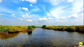 யாழில் எழில் கொஞ்சும் அழகிய கால்வாய் | Beauty of Jaffna Time-lapses😍 | Shorts.