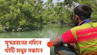 সুন্দরবনের গহিনে খাঁটি মধুর সন্ধানে