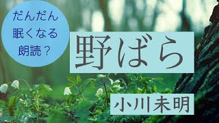 【だんだん眠くなる朗読？】｢野ばら｣ 小川未明 /睡眠導入/作業BGM【nore‐のれ】