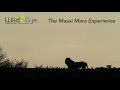 Wild Eye - The Masai Mara Experience