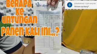 HasiL keuntungan budidaya kepiting