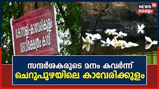 Malayalam News | സന്ദർശകരുടെ മനം കവർന്ന് ചെറുപുഴയിലെ കാവേരിക്കുളം | Kaverikulam | Kannur