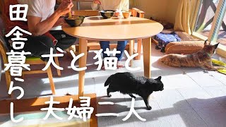 犬と猫と田舎暮らし/冬の北海道でのんびり静かな休日