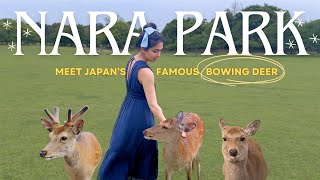 Meet JAPAN’S Bowing Deer 🇯🇵🦌 VLOG | Nara Park, Todaiji Temple, Local Shops