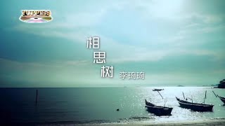 相思树-李琦琦-伴奏 KARAOKE