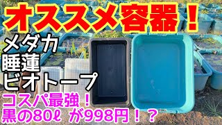 【NVBOXよりもベストな黒のメダカ飼育容器】黒の80ℓ容器が998円！100個以上タライを購入した自分がオススメする容器！睡蓮にはカインズCAINZのタライ！ビオトープ、睡蓮に最適容器も！