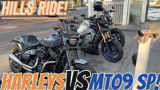 Hills ride Harleys VS MT09 SP