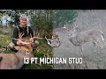 13 Point Michigan Buck: Perfect Shot At 33 Yards!