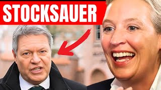 ANWALT MACHT HABECK FERTIG! ⚡ DAMIT HAT ER NICHT GERECHNET! ⚡ VIDEO BRICHT GERADE ALLE REKORDE AUF X