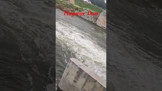 மாயனூர் கதவணை /Mayanur Dam Karur/ #shorts#mayanurdam