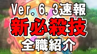 【ドラクエ１０Ver.6.3新情報速報】全職に追加された新必殺技紹介　メドローア Dragon Quest X