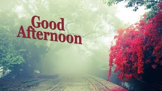 Good Afternoon l Whatsapp Status l Family \u0026 Fun Vlog