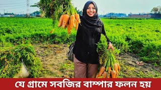 যে গ্রামে সবজির বাম্পার ফলন হয়|produce bumper crops of vegetables | Part-1