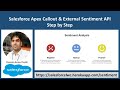 Salesforce Apex Callout & External Sentiment API Step by Step