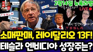 미국주식/스테이크 먹방/엔비디아가 털어낸 종목들!/테슬라 구글 애플 아마존 메타 마이크로소프트 팔란티어 ARM SMCI LLY PANW ABNB SOUN등 $tsla #tesla