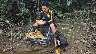 The boy herds ducks, earns a living, earns money to buy flocks of ducks to raise, Farm