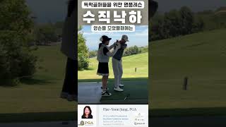 [정쌤의 골프레쓴]수직낙하 기억하시죠? 다운스윙은 이렇게! #pelicanhill #golf #골프 #pgaclassa #golfswing #골프스윙 #골린이 #골프레슨