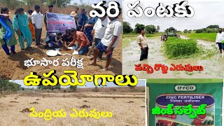 వరిలో భూసార పరీక్ష l పచ్చిరొట్టె l సేంద్రియ ఎరువులు l జింక్ సల్ఫేట్ యొక్క ఉపయోగాలు l paddy