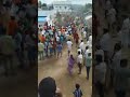 jallikattu sambavam