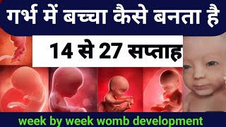 14 से 27 सप्ताह (4 से 6 महीने) में शिशु का विकास।How a Baby Development in 4 to 6 month