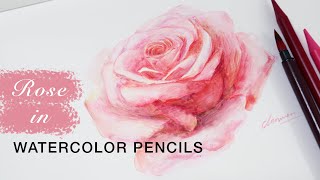 How to Paint a Pink Rose with Watercolor Pencils – Easy Step-by-Step Tutorial