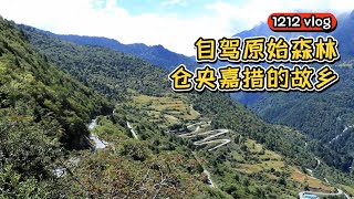 【1212房车旅行】 房车自驾原始森林 路太险了 但风景很美 不愧是仓央嘉措的故乡丨西瓜视频