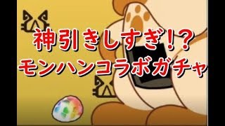 【パズドラ】モンハンコラボガチャ引いていく