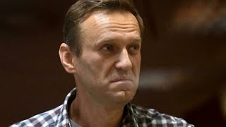 Kremlin critic Navalny's allies criticise tech giants' decision to remove opposition voting app