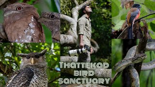 Thattekad bird sanctuary in rainy season | Paradise of endemic birds | Wildlife cinematic video 4K