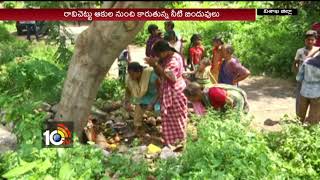 విశాఖలో వింత చెట్టు… | Visakha Meracle Tree Ficus Religiosa | AP | 10TV