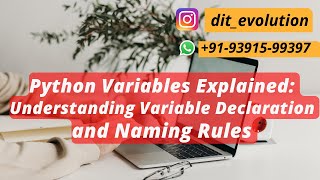 #6 Python Variables Explained: Understanding Variable Declaration and Naming Rules