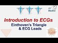 Introduction to ECG | The Basics | Einthoven’s Triangle, Limb, Augmented and Precordial Leads