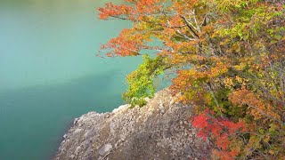 【紅葉・癒し】錦秋湖　湯田ダム　夏油　入畑ダム　岩手県北上市と和賀郡西和賀町｜Wonderful autumn leaves in Iwate prefecture