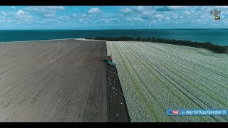 Orka nad Bałtykiem | Baltic plowing Lemken + Case Magnum