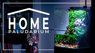 Home PALUDARIUM | Relaxing Build Video