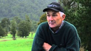 PGG Wrighston Stud Tour - Ep. 15 - Glacier Horned & Flagstaff Herefords & Bannockburn Angus