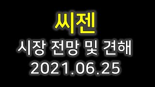 [씨젠]씨젠 및 전망 2021.06.25