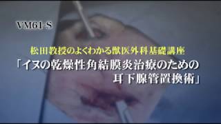 松田教授のよくわかる獣医外科基礎講座 「 イヌの乾燥性角結膜炎治療のための耳下腺管置換術