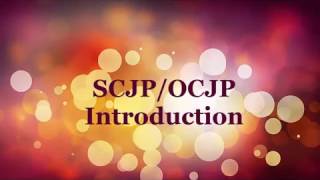 SCJP/OCJP Introduction 1.1 / Java tutorial 1.1