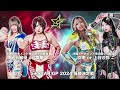 Stardom 5★STAR GP 2024 Finals Results!