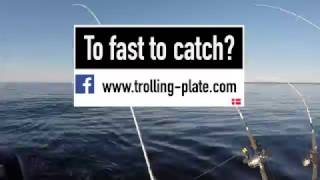 Wise Trolling plate  Trolling Masters Bornholm 2017 (TMB2017)