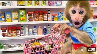 Monkey Baby Bon Bon pretend to be a cashier in a supermarket and eats watermelon with puppy