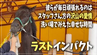 【ラストインパクト】洗い場でも大人しくてカッコいい♪