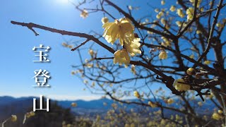 宝登山で宝登山神社に参拝 | 蝋梅（ロウバイ）を見に日帰り登山へ行きました。| 低山 |ロープウェイ不使用