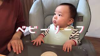 【離乳食130日目】初めてベビーリーフを食べた赤ちゃん【生後9ヶ月】