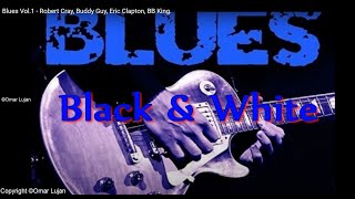 Blues Vol1 - Robert Cray Buddy Guy Eric Clapton Bb King