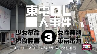 東電OL殺人事件3　ジェンダー編【ミステリーアワー】未解決事件の謎を追う