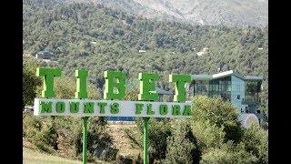 Tibet Mounts Flora