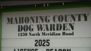 When and where to renew your dog's license