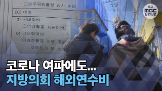 [대구MBC뉴스] 코로나 여파에도...지방의회 해외연수비 '그대로'